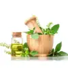 Botanical Extract
